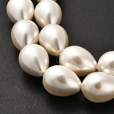 Electroplate Shell Pearl Beads Strands BSHE-G010-14x18mm-01-1