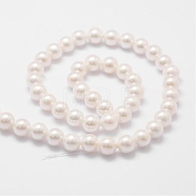 Rainbow Plated Shell Pearl Bead Strands BSHE-L025-02-6mm-1