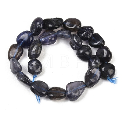 Natural Iolite Beads Strands G-C271-01-1