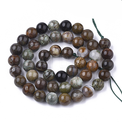 Natural Serpentine Beads Strands G-S333-10mm-015-1