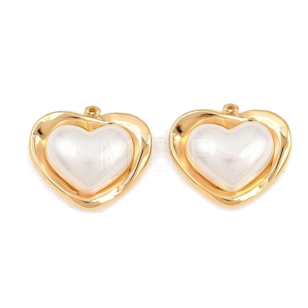 304 Stainless Steel & Resin Pendants STAS-G394-11G-1
