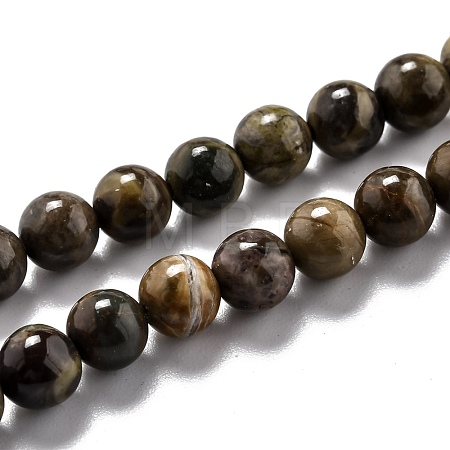 Round Natural Ocean Agate/Ocean Jasper Beads Strands G-O199-02A-1