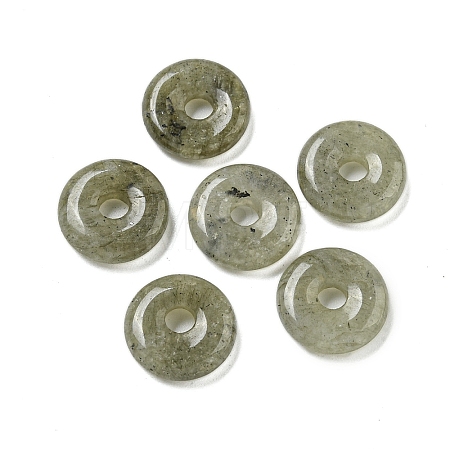 Natural Labradorite Donut/Pi Disc Charms G-G142-01L-1
