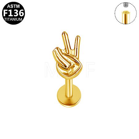 Titanium Alloy Cartilage Earrings WGB6E32-03-1