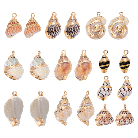 20Pcs 10 Styles Electroplated Natural Mixed Shell Pendants BSHE-GA0001-05-1