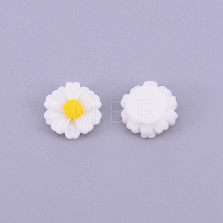 Resin Cabochons RESI-CJC0001-70D-01-1
