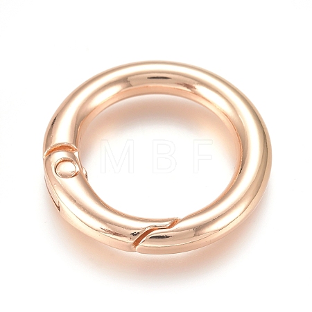 Alloy Spring Gate Ring PALLOY-WH0066-19B-1