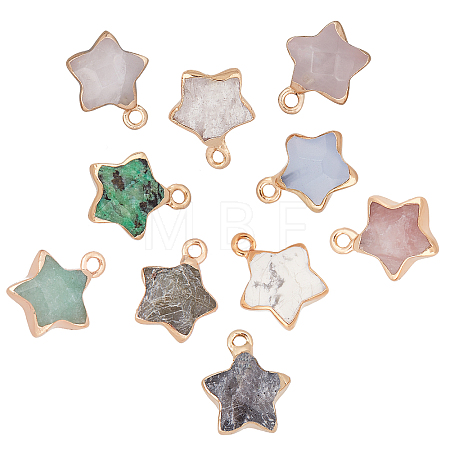 10Pcs 10 Colors Natural Green Aventurine & White Jade & Grey Agate & Labradorite & Strawberry Quartz & Howlite & Ruby in Zoisite & Quartz Crystal & Rose Quartz & Black Labradorite Gemstone Pendants G-SC0002-02-1