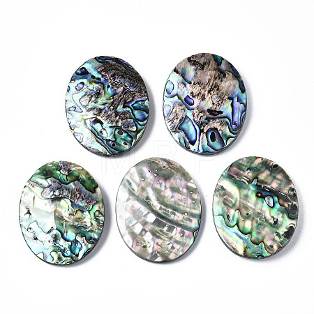 Natural Abalone Shell/Paua Shell Cabochons SSHEL-N034-87-1