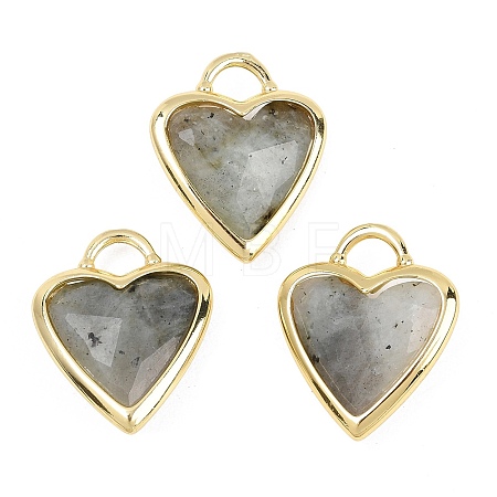 Natural Labradorite Faceted Pendants G-Z154-01G-07-1