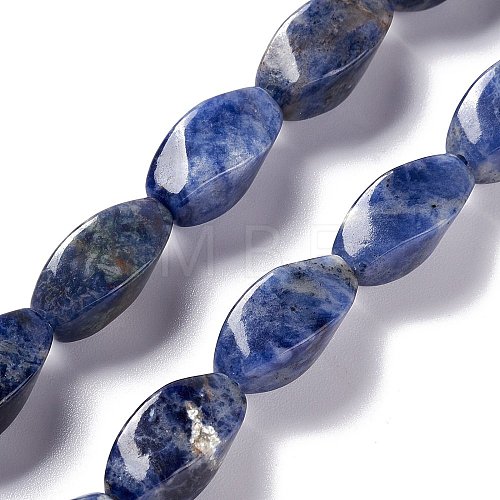 Natural Sodalite Beads Strands G-L243A-18-1