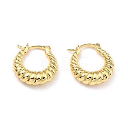 Brass Hoop Earrings X-EJEW-D273-02G-1