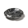 Natural Larvikite Worry Stones G-E586-01I-4