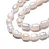 Natural Cultured Freshwater Pearl Beads Strands PEAR-N012-05F-4