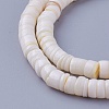 Natural Shell Beads Strands X-SSHEL-E571-49I-1