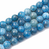 Natural Apatite Beads Strands G-S333-6mm-012-1