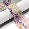 Natural Prehnite & Rose Quartz & Amethyst & Citrine Beads Strands G-L610-B14-01-2