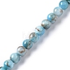 Natural Apatite Beads Strands G-I254-08E-2