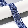Natural Sodalite Beads Strands LS-G-G139-A07-02-2