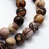 Natural Zebra Jasper Beads Strands X-G-I199-10-6mm-3