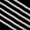 5Yards Polyester Lace Ribbons OCOR-ME0001-65B-1