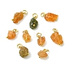 Raw Rough Natural Tourmaline Pendants PALLOY-JF05842-1