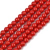 Dyed Shell Pearl Beads Strands BSHE-XCP0001-09-1