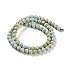 Natural Rainbow Alashan Agate Beads Strands G-NH0022-A01-01-3