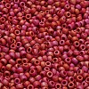 TOHO 6/0 Round Beads SEED-XTR06-0768-4