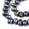 Natural Cultured Freshwater Pearl Beads Strands PEAR-N013-05L-3