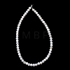 Natural Freshwater Shell Beads Strands SH-CBA2978-07D-01-3
