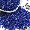 Glass Seed Beads X1-SEED-S042-04A-14-1