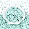 Opaque Glass Beads GLAA-Q113-01A-C02-2