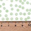 FGB Frosted Transparent Glass Seed Beads SEED-N013-02A-08-4