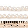 Natural Cultured Freshwater Pearl Beads Strands PEAR-I007-07X-03A-5