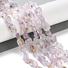 Natural Amethyst Beads Strands G-P497-01C-26-2