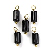 Natural Obsidian Cloumn Pendants STAS-H221-04G-08-1