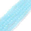 Electroplate Glass Beads Strands LS-EGLA-A034-J10mm-L06-1