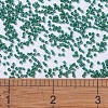 MIYUKI Delica Beads SEED-X0054-DB0656-4