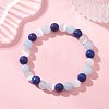 Dyed Natural Quartz & Sesame Jasper Beaded Stretch Bracelets for Women Men BJEW-JB13403-1