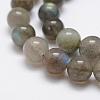 Natural Labradorite Beads Strands G-K209-04D-10mm-3