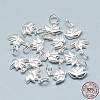 925 Sterling Silver Charms STER-T002-117S-1