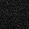 MIYUKI 3.4mm Drop Beads Y-SEED-MY04-DP401-2