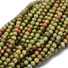 Natural Unakite Beads Strands G-A177-04-04-1