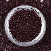 Baking Paint Glass Seed Beads SEED-S042-05A-03-2
