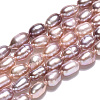Natural Cultured Freshwater Pearl Beads Strands PEAR-N012-03L-4