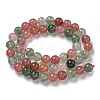 Natural Red and Green Strawberry Quartz Beads Strands G-B099-C03-04-3