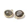 Natural Labradorite Faceted Flat Round Charms G-U028-03G-06-2