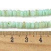 Dyed Natural Freshwater Shell Beads Strands X1-BSHE-G039-07E-4
