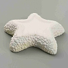 Starfish Shape Ceramic Jewelry Plate AJEW-WH0041-95A-2